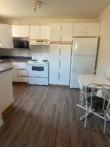 Sunnyslope Area-2 bedroom apt - Photo 3