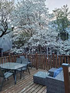 Magnifique 3-1/2 semi-meublé Saint-Jean-Baptiste avec terrasse - Photo 7