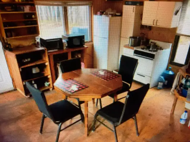 recherche compagnon de chasse orignal pour Gaspésie - Photo 4