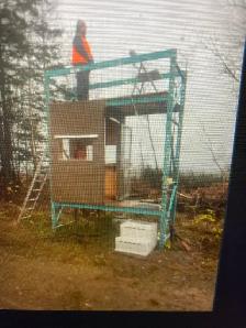 recherche compagnon de chasse orignal pour Gaspésie - Photo 5