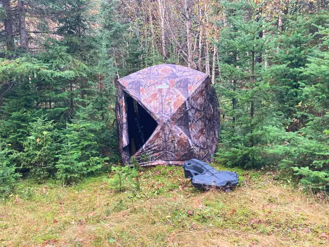 recherche compagnon de chasse orignal pour Gaspésie - Photo 7