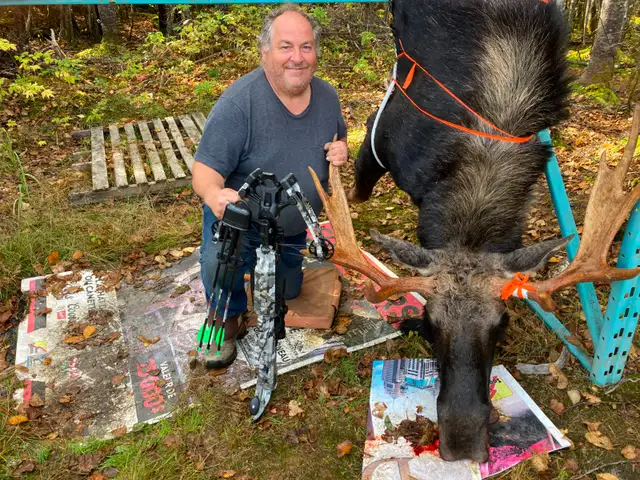 recherche compagnon de chasse orignal pour Gaspésie - Photo 8