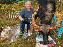 recherche compagnon de chasse orignal pour Gaspésie - Photo 8