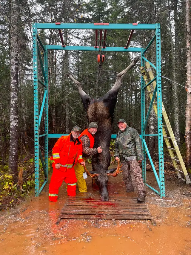 recherche compagnon de chasse orignal pour Gaspésie - Photo 9