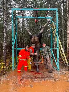 recherche compagnon de chasse orignal pour Gaspésie - Photo 9