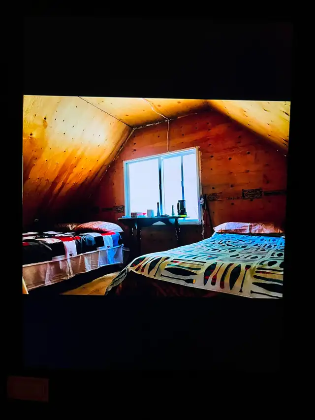 recherche compagnon de chasse orignal pour Gaspésie - Photo 10