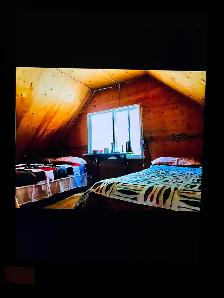 recherche compagnon de chasse orignal pour Gaspésie - Photo 10