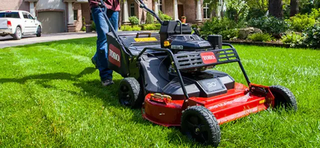 Lawn Cutting