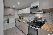 Two Bedroom Basement Suite in Sutherland - Photo 6