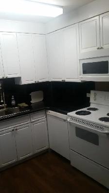 ONE BEDROOM APARTMENT  ON JASPER AVE. - Photo 8