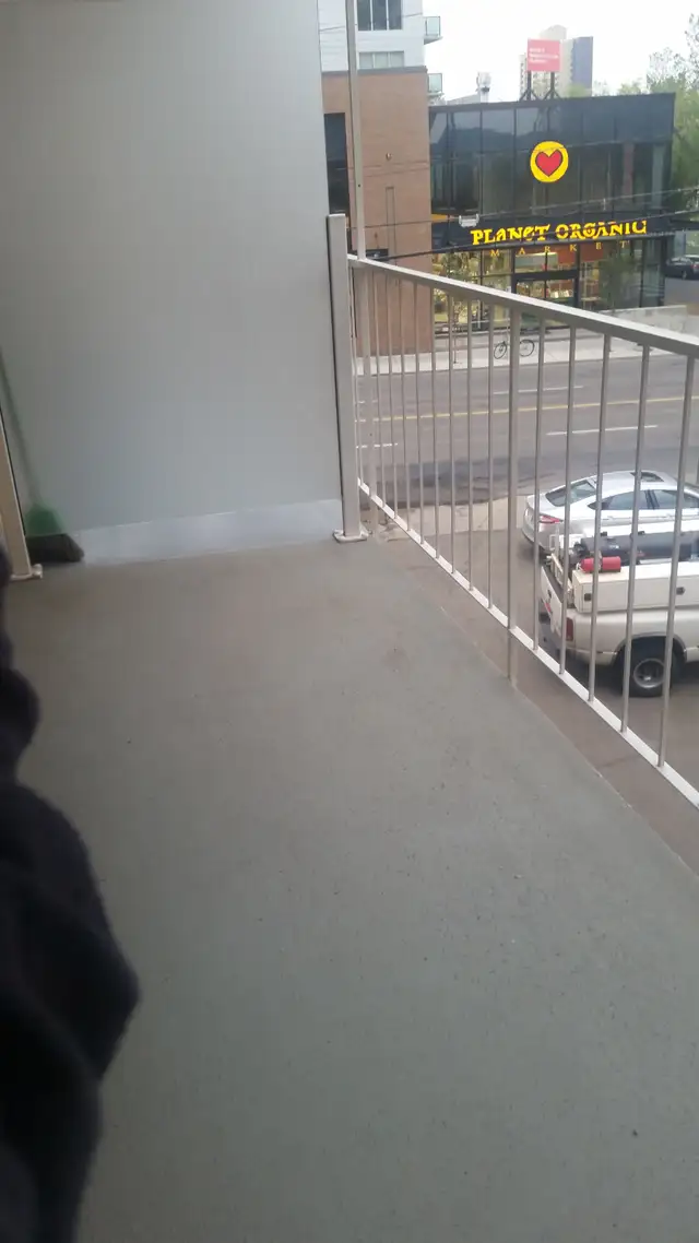 ONE BEDROOM APARTMENT  ON JASPER AVE. - Photo 10