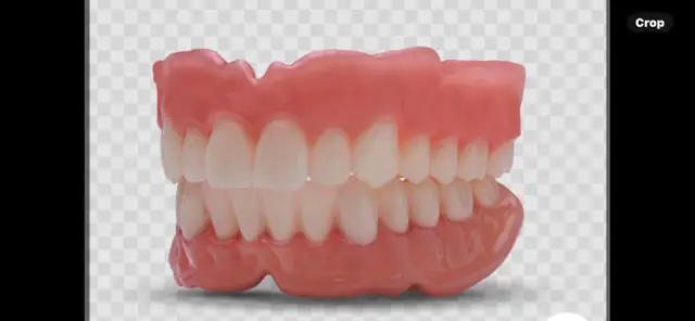 Denture technician lab