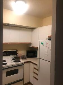 Furnished Master Bedroom - Downtown Toronto - Photo 10