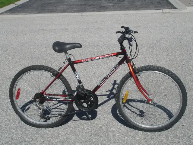 MID SIZE 24' TRIUMPH RAVINE 15 SPEED TRAIL/MOUNTAIN BIKE! - Photo 3