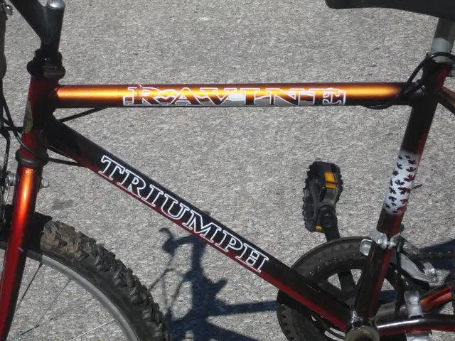 MID SIZE 24' TRIUMPH RAVINE 15 SPEED TRAIL/MOUNTAIN BIKE! - Photo 5