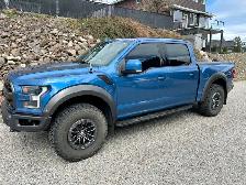 2019 Ford Raptor for sale