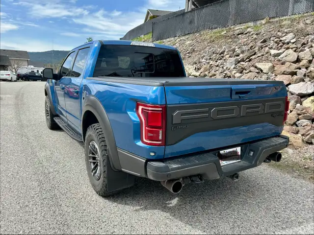 2019 Ford Raptor for sale - Photo 5