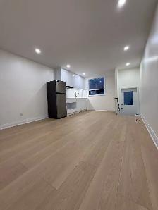 Downtown Toronto one newly renovated studio available May 1st - Photo 4