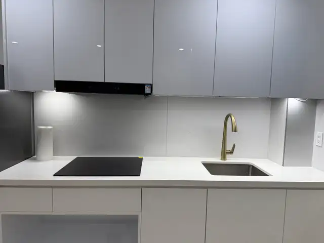 Downtown Toronto one newly renovated studio available May 1st - Photo 6