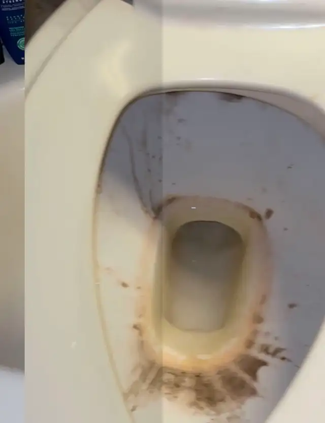 Home/Office/Move in/out Cleaning - Photo 3