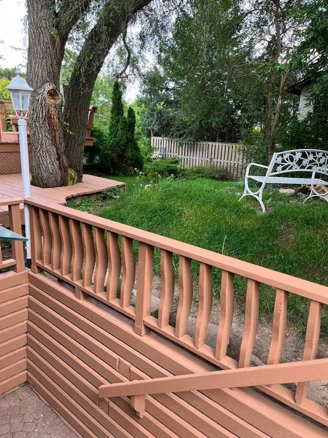 Rent One-Bedroom Basement Apartment HWY 401/Neilson Rd - Photo 2