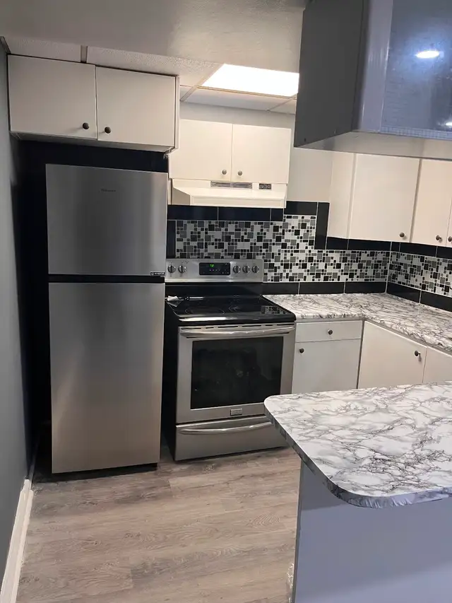 Rent One-Bedroom Basement Apartment HWY 401/Neilson Rd - Photo 6