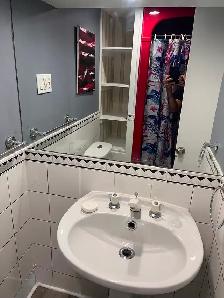 Rent One-Bedroom Basement Apartment HWY 401/Neilson Rd - Photo 8