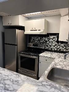 Rent One-Bedroom Basement Apartment HWY 401/Neilson Rd - Photo 10