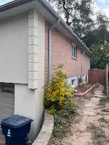 Rent One-Bedroom Basement Apartment HWY 401/Neilson Rd - Photo 11