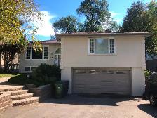 Rent One-Bedroom Basement Apartment HWY 401/Neilson Rd - Photo 12