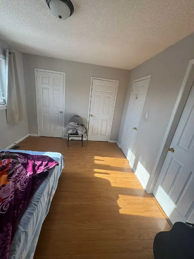Room for rent in Mississauga - Photo 4
