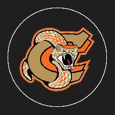 Copperheads Job Positions for 2026-2027 Hockey Season