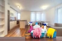 House Cleaning - Photo 2