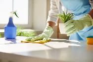 House Cleaning - Photo 3