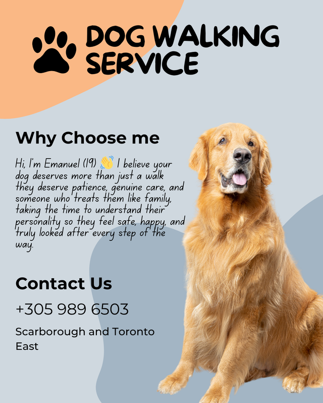Dog Walker In Scarborough and In Toronto East - Photo 4