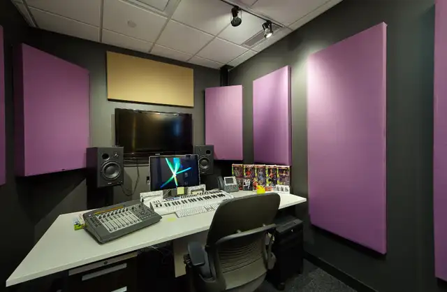 ACOUSTIC PANELS for Home Theatres, Room Acoustics, Room Tuning - Photo 10