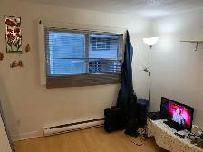 Private room for rent - Photo 8