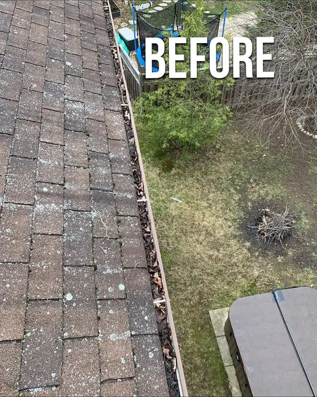 Professional Gutter Cleaning, Install and Repair