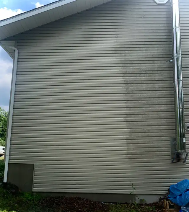 Professional Siding Soft Washing