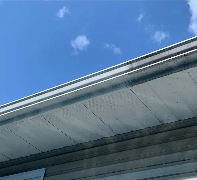 Professional Siding Soft Washing - Photo 4