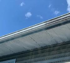 Professional Siding Soft Washing - Photo 4