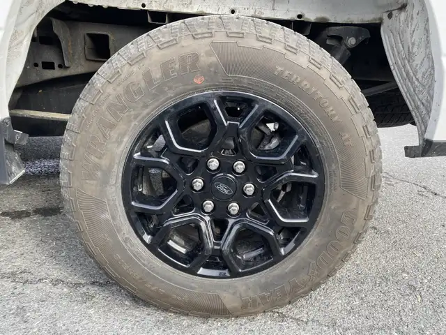 2024 Ford F-150 XLT - Photo 12