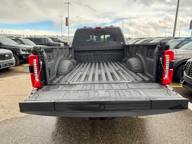 2025 Ford Super Duty F-350 SRW - Photo 6