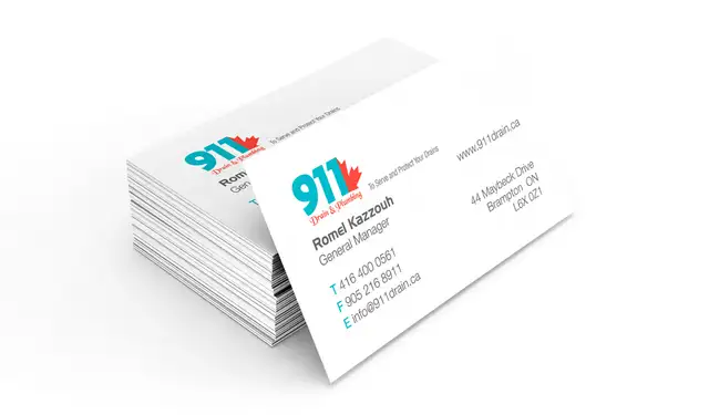 1000 Business Cards for $45 Including Free Shipping In 4-6 Days! - Photo 4