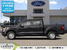 2023 Ford F-150 Lariat - Leather Seats - Cooled Seats