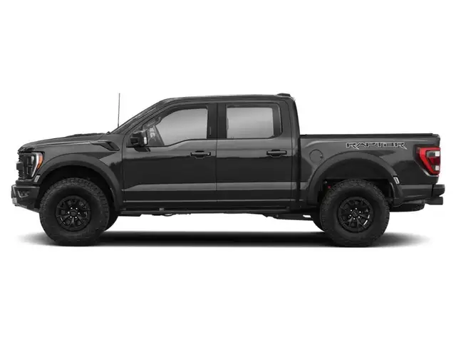 2023 Ford F-150 RAPTOR - Photo 3