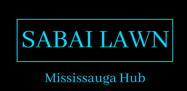 Be your own PT Driver for Lawn Care (Sabai FleX) - Photo 6