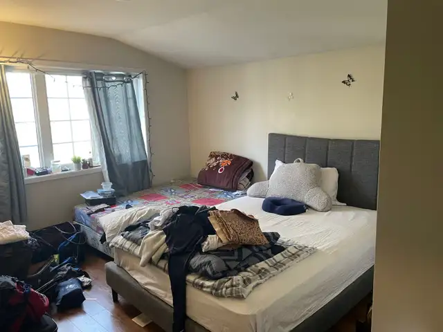 Master size bedroom for rent. - Photo 3