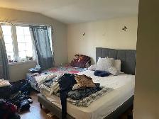 Master size bedroom for rent. - Photo 3