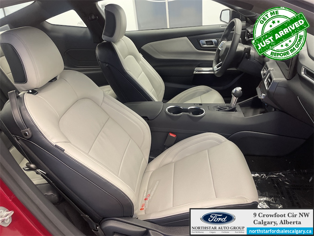 2026 FORD Mustang EcoBoost Premium - Photo 14